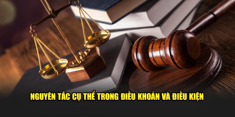Nguyên tắc cụ thể trong điều khoản và điều kiện
